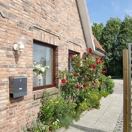 Foerster - Sylt, * 베스터란트